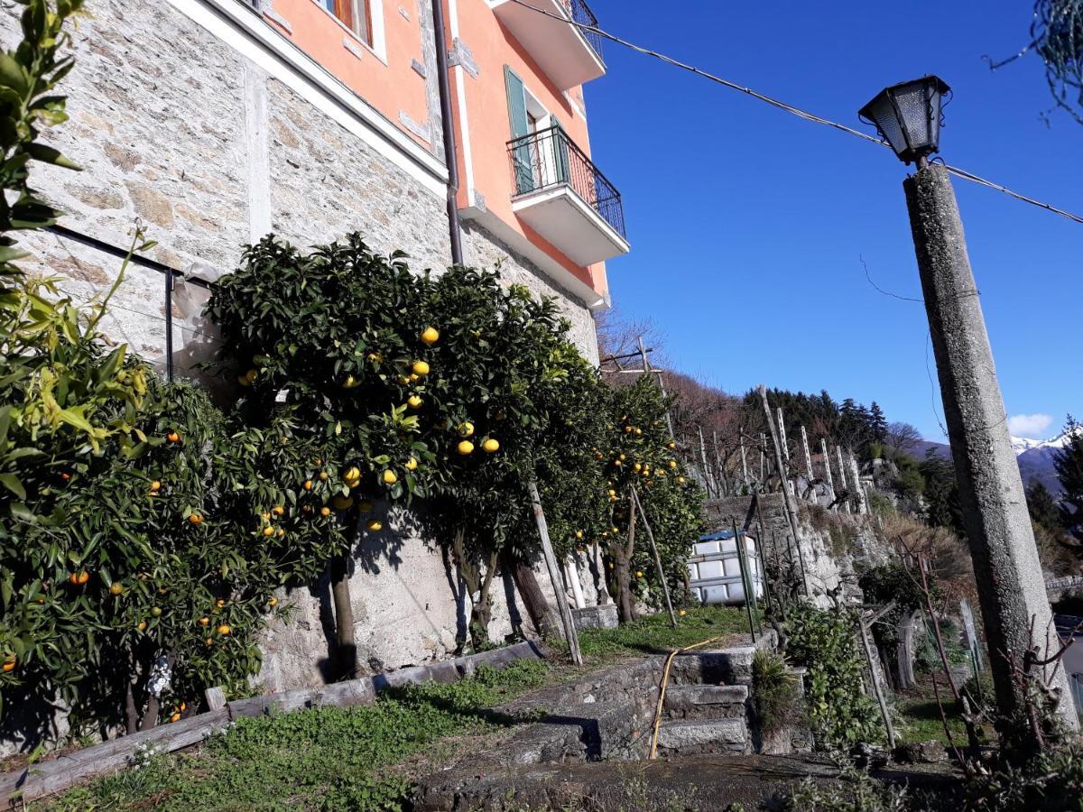 Apartament Casa Ai Castelli Cannobio Zewnętrze zdjęcie