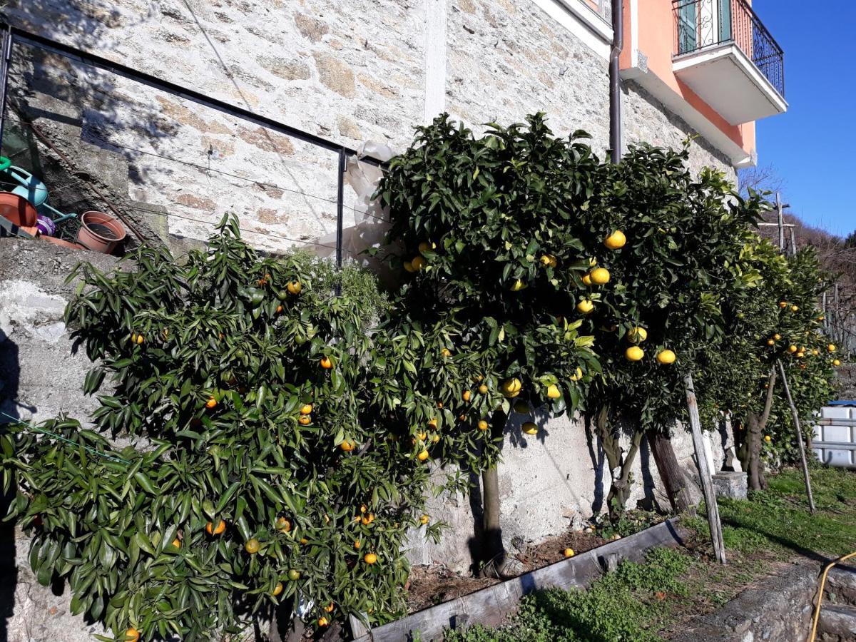 Apartament Casa Ai Castelli Cannobio Zewnętrze zdjęcie